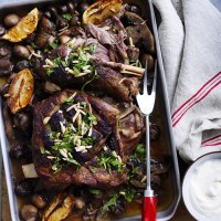 Mushroom Ragu with Slow-Cooked Lamb